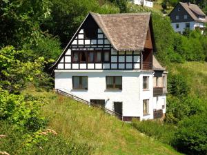 施马伦贝格Kurhaus am Nordenau - 10 pers的山边的白色房子