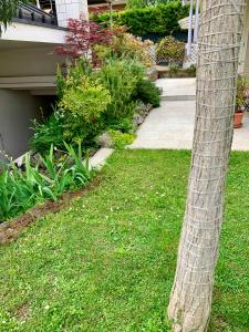蒙卡列里L'angolo verde apartment的房子旁边的草丛中的棕榈树
