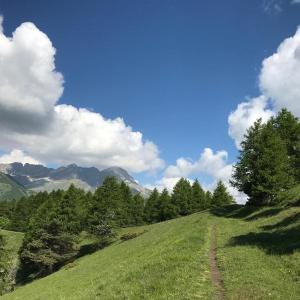 CanosioRifugio Lou Lindal的青草山,有树木,蓝天和云