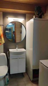库奥皮奥Tahkontilhi的一间带水槽和镜子的浴室