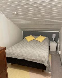 库奥皮奥Tahkontilhi的一间卧室配有一张带两个黄色枕头的床