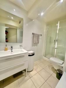 日内瓦Residence Mont-Blanc的一间带水槽、淋浴和卫生间的浴室