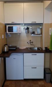 布拉格威勒斯公寓 的一间带水槽和微波炉的小厨房