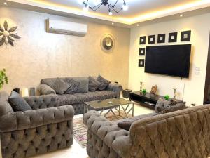 Sheikh Zayedشقه فندقية للإيجار بالشيخ زايد的带沙发和平面电视的客厅