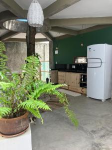 德奥多鲁元帅镇Kanau Surfe e Arte的一间种植了植物和白色冰箱的厨房