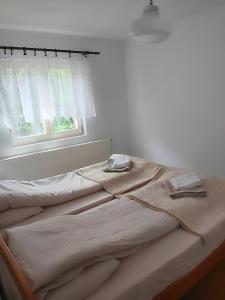 索科矿泉村Apartman Natasa Sokobanja的白色客房的一张床位,设有窗户