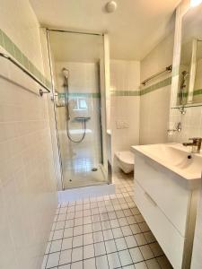 日内瓦Residence Mont-Blanc Apartment的带淋浴、盥洗盆和卫生间的浴室