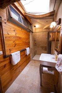 MarsacDomaine De Chantemerle B'nB的一间带木墙、水槽和淋浴的浴室