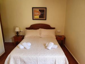 坎加斯-德奥尼斯alojamiento con jardin y barbacoa的一间卧室配有一张床,上面有两条毛巾