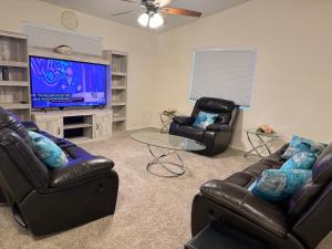 CoolidgePeace home的客厅配有两张沙发和一台电视机