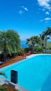 珀蒂蒂勒Maison d'hôtes Villa des Mascareignes的一座棕榈树和海洋的大型游泳池