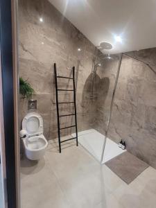 DuppigheimAppartement d'une chambre avec jacuzzi terrasse et wifi a Duppigheim的浴室设有卫生间和带梯子的淋浴