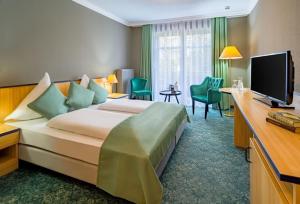 Bertsdorf阿申瑞尼兹斯加罗酒店的酒店客房设有一张大床和一台电视。