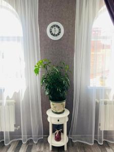 丰坦卡Готель Лаванда на Ривьере , Карпатский чан, Фонтанка 1 Одесса的坐在两扇窗边桌子上的盆栽植物