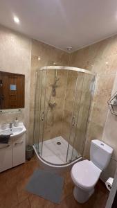 斯托尼拉斯奇ADUSIÓWKA的带淋浴、卫生间和盥洗盆的浴室