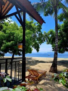 珀尼达岛Beach House Penida的海滩上种有长凳和棕榈树,还有大海