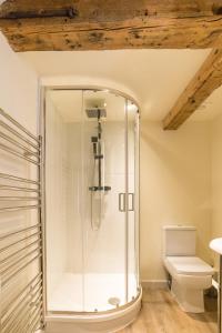 诺里奇Kings Head Bawburgh的设有带卫生间的浴室内的淋浴间