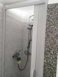 梅利托迪波尔托萨尔沃Casa sul Corso的浴室内配有淋浴和头顶淋浴