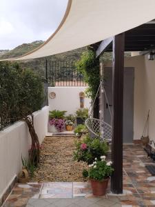 Casa de la Aldea的一座房子里种有盆栽植物的庭院