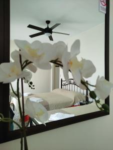 皮索利瓦迪Paradise Garden Paros的白色花房内的镜子