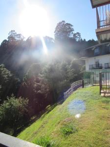 坎波斯杜若尔当金色森林普萨达酒店的青草的山,阳光照耀着树丛