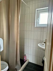 普卢日内Rural Resort Tron的浴室配有淋浴帘和盥洗盆。