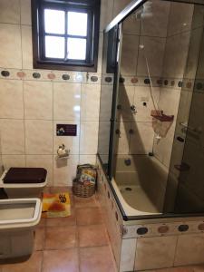 阿雷格里港Casa Moinhos de Vento Vintage的带淋浴和卫生间的浴室