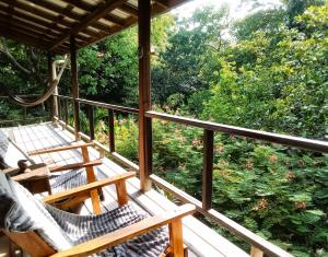 圣伊格纳西奥Sanpopo Tree Top Cottage - A Gold Standard Tourism Approved Vacation Home的一个带椅子的门廊,享有森林美景