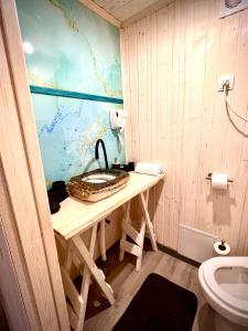 亚布卢尼齐亚Апартаменти Smereka的一间带水槽和卫生间的浴室