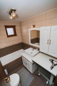 蒂米什瓦拉Diana Resort的浴室配有盥洗盆、卫生间和浴缸。