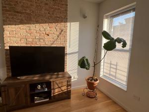 布鲁克林1 Bedroom in apartment in Bedstuy Brooklyn的客厅配有平面电视和植物