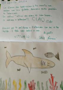 维亚雷焦Casa dolce casa的白板上画的鲨鱼