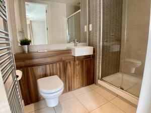 贝尔法斯特Hamilton Road Apartments的浴室配有卫生间、盥洗盆和淋浴。