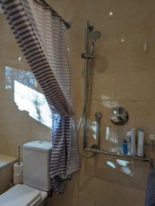 PotterneLittle Chilsbury的带淋浴、卫生间和浴帘的浴室