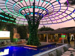 拉各斯河豚酒店的游泳池在晚上,中间有棕榈树