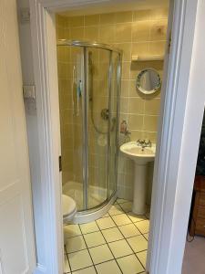戈尔韦Cosy Rooms in a Stone Cottage的带淋浴和盥洗盆的浴室