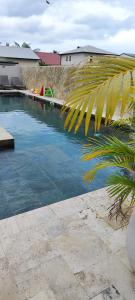圣安德烈Villa Mary Guest House的前方的游泳池,有棕榈树