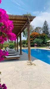 上钦查卡萨哈斯恩达桑吉斯酒店的一座带粉红色花卉的游泳池旁的木凉亭