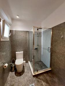 LévkiVilla Tramonto的带淋浴和卫生间的浴室