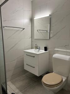 弗勒里耶Hotel Restaurant du Moulin的白色的浴室设有卫生间和水槽。