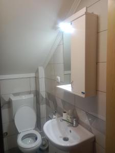 米特洛瓦克Vila Tutić Apartman 1 i Apartman 2的一间带卫生间和水槽的小浴室