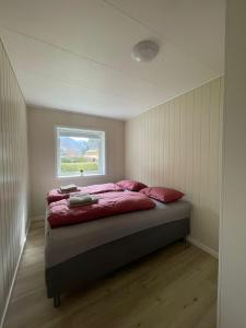 艾于兰Fint hus i Flåm的一间卧室配有一张带粉色床单的床和一扇窗户。
