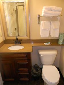 Williamsport Grandview Hotel的一间带卫生间、水槽和镜子的浴室