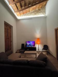 阿利坎特Casa del Pasaje San Fernando的带沙发和电视的客厅