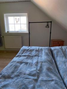 OyndarfjørðurSeaside Cottage的一间卧室配有一张带蓝色棉被的床和窗户。