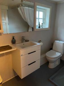 OyndarfjørðurSeaside Cottage的一间带水槽、卫生间和镜子的浴室