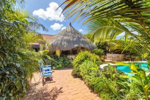 SavanetaVilla Laurence Aruban Oasis Footsteps To Ocean的蓝色椅子和游泳池的度假村