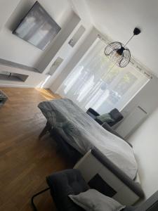贝尔福Appartement du lion的客厅配有床和沙发