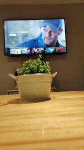 乌斯怀亚Upsala的电视机前桌子上的植物