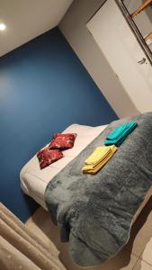 乌斯怀亚Upsala的蓝色客房 - 带红色枕头的床